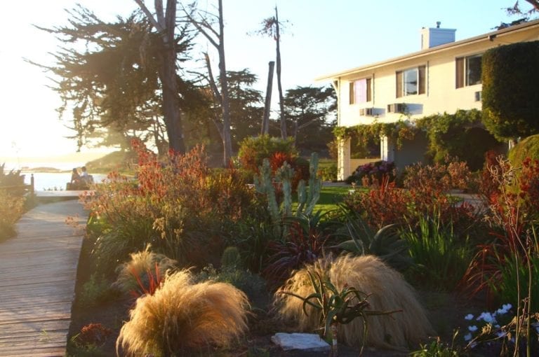 Baywood Park An Idyllic, Secret Getaway on California's Central Coast