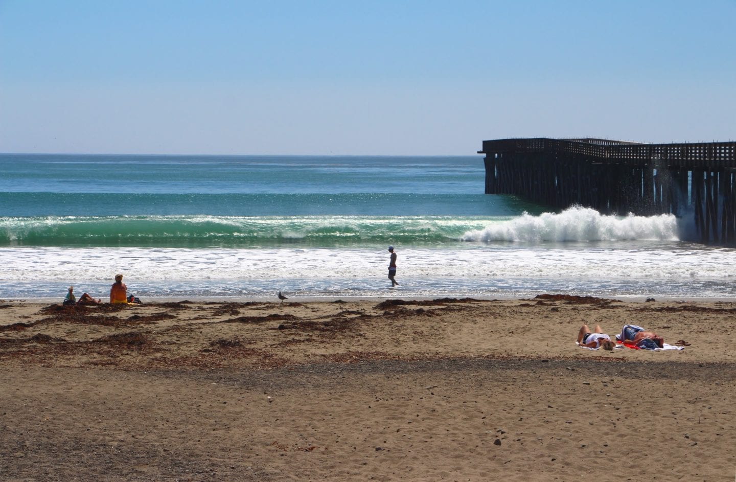 12 Quiet, Uncrowded Beach Destinations in California | CABBI