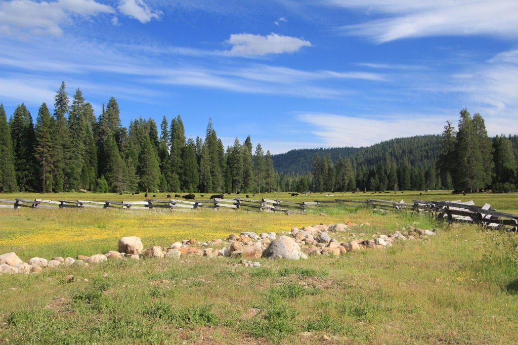 Childs Meadow at Highlands Ranch Resort