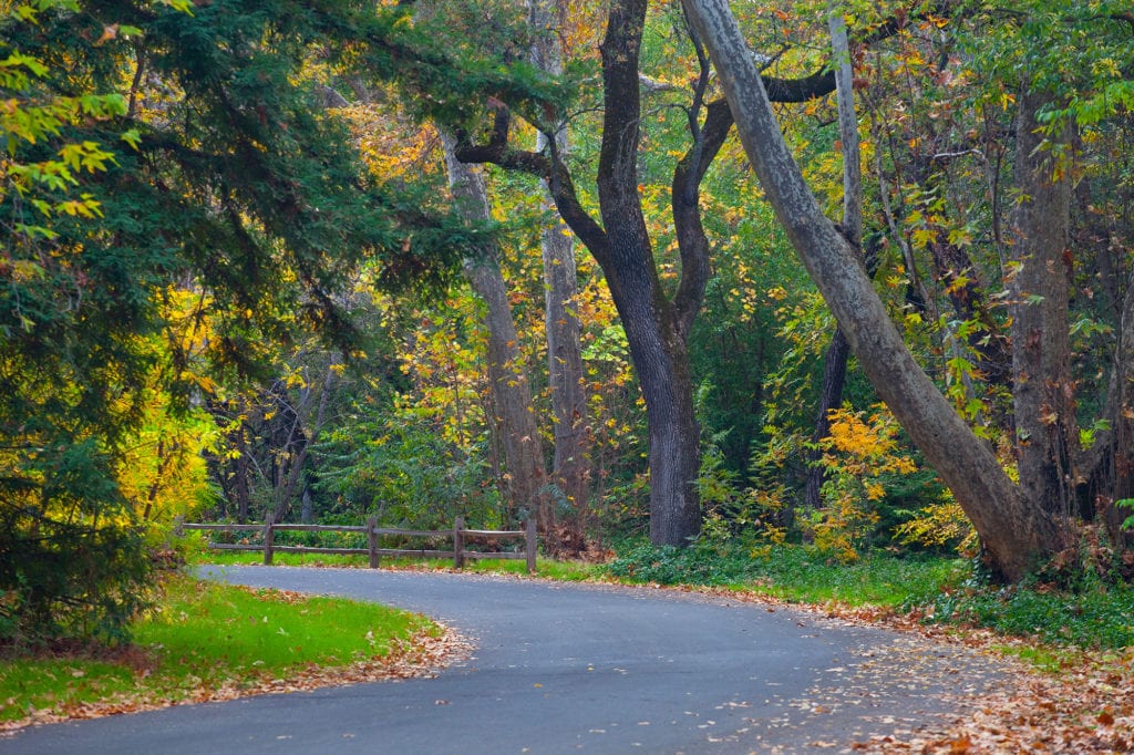 Bidwell Park