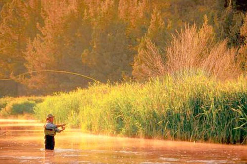 Fly fishing on the Fall River