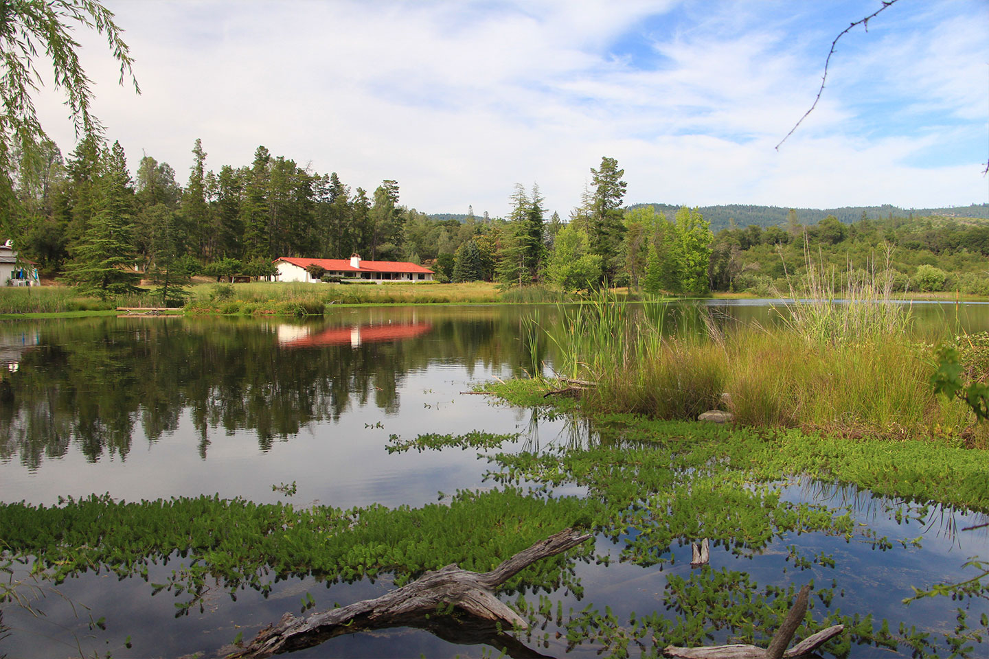 Frenchtown Inn: A Remote, Tranquil Lakeside Retreat in Yuba County