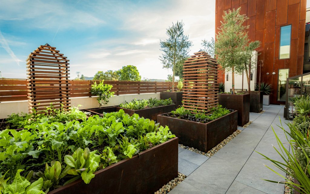 Hotel Cerro edible gardens