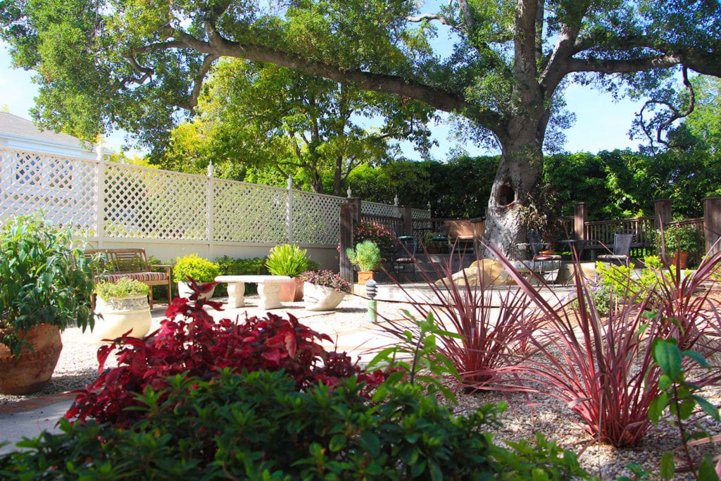 Backyard garden at Cheshire Cat Inn