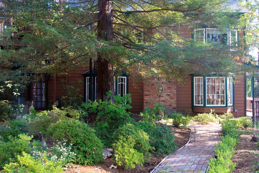 Azalea garden at The Green Toad Bed & Breakfast