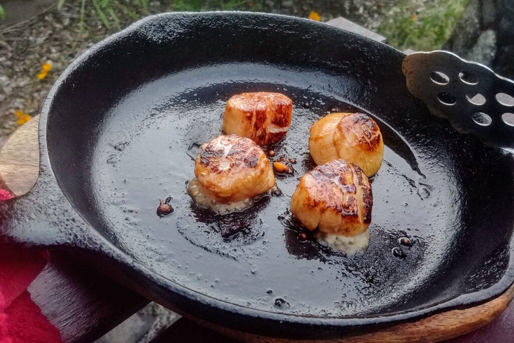 Sear the scallops in a skillet