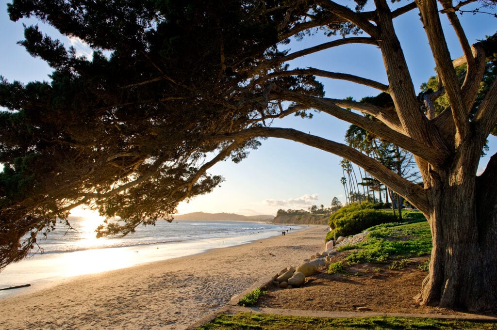 Butterfly Beach