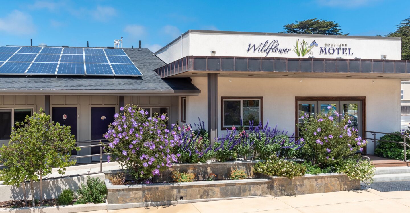 Wildflower Boutique Motel CABBI