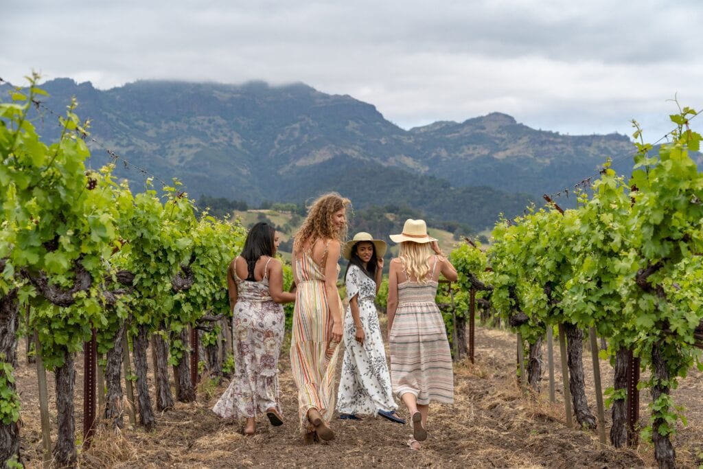 Vineyard in Calistoga