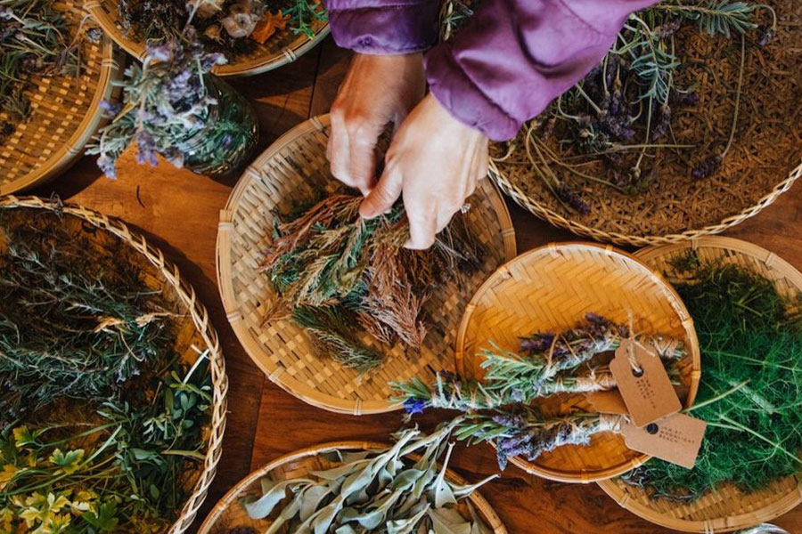 Herbs grown on site at the Inn at Moonlight Beach