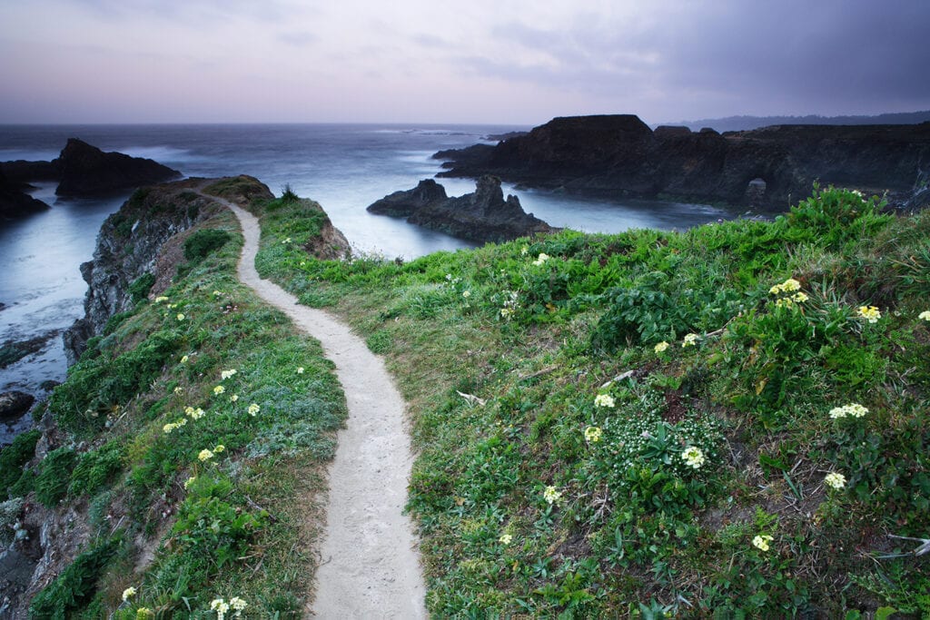 Spring Blooms and Inspiring Seascapes on the Mendocino Coast  CABBI