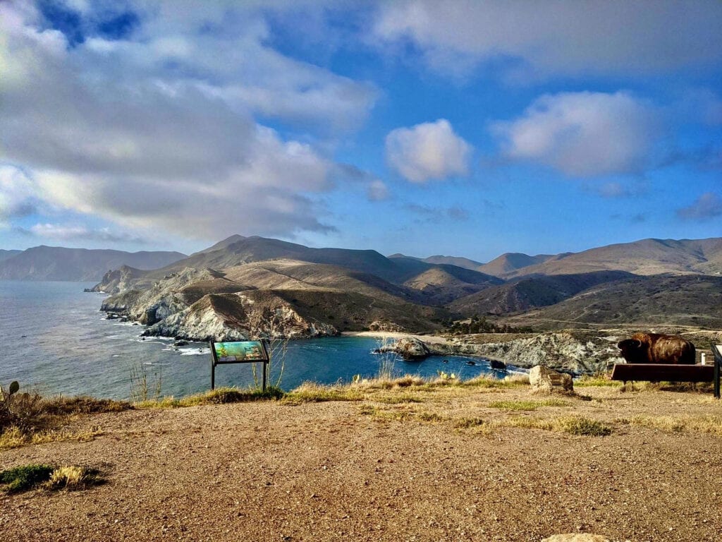 View from Catalina Island with a bison