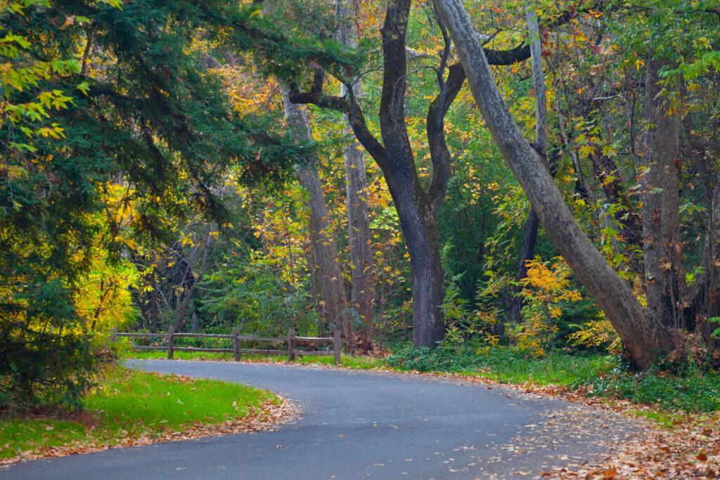 Bidwell Park in Chico, California