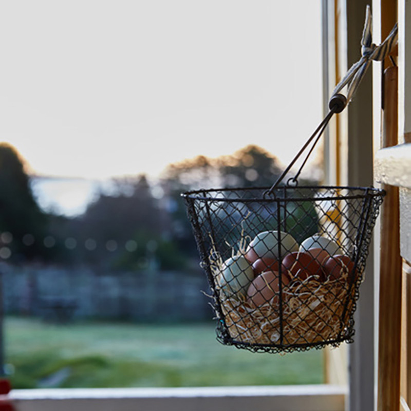 Farm-fresh eggs delivered to the door at Mar Vista Farm + Cottages