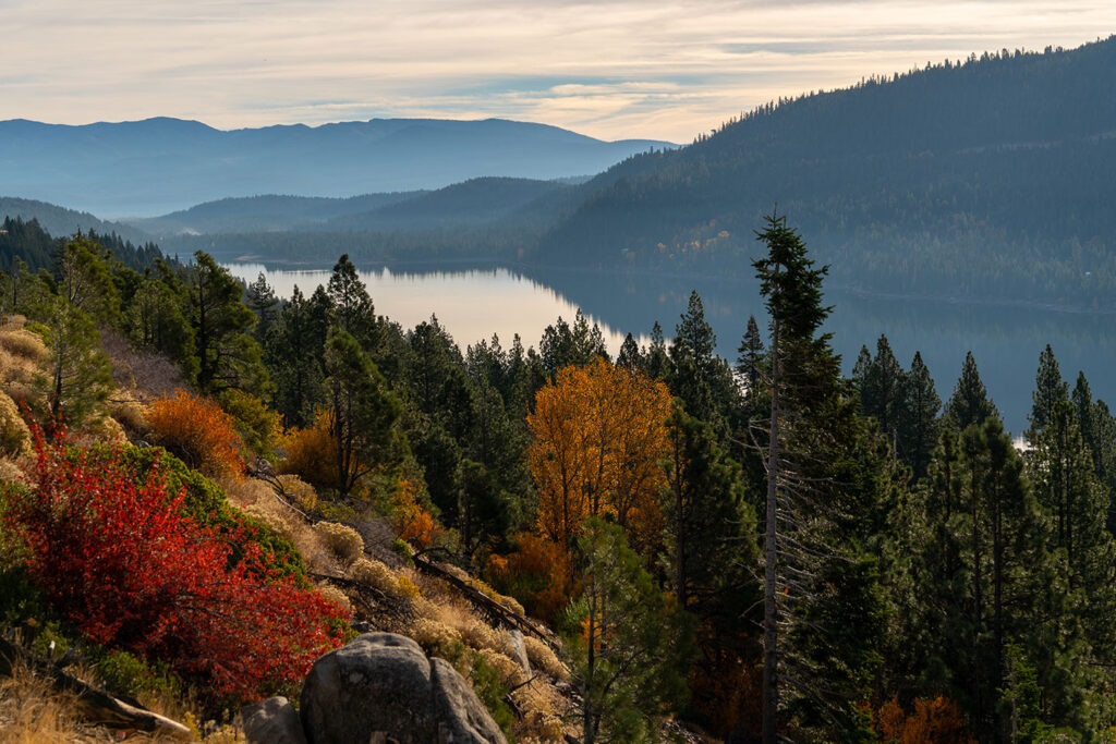 Fall color above Donner Lake in Truckee