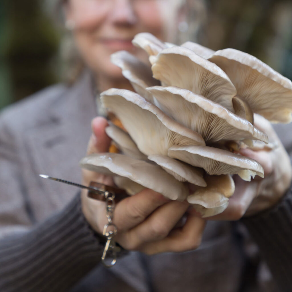 Mushroom foraging at the Inn at Newport Ranch