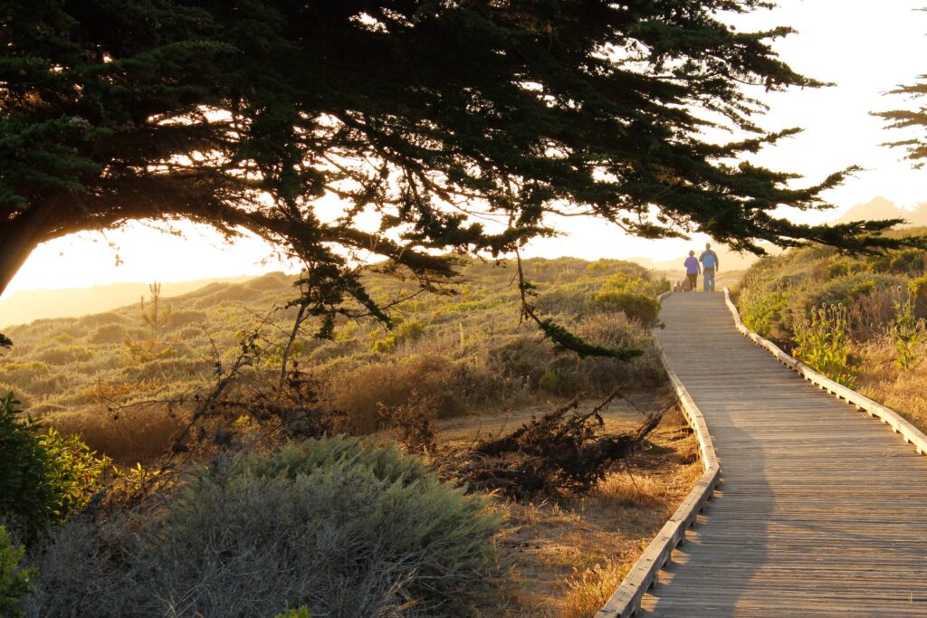 Boardwalk at Moonstone Beach in Cambria, photo courtesy of Visit SLO CAL