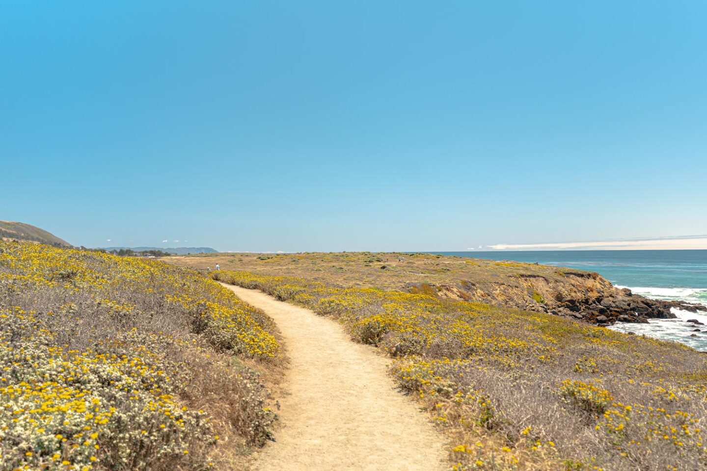 Bluff Trail at Fiscalini Ranch Preserve