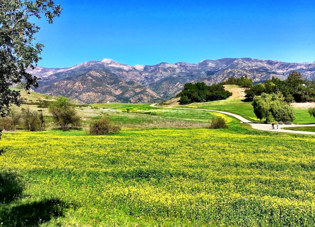 Pastel colored motel in Ojai, CA with the right amount of