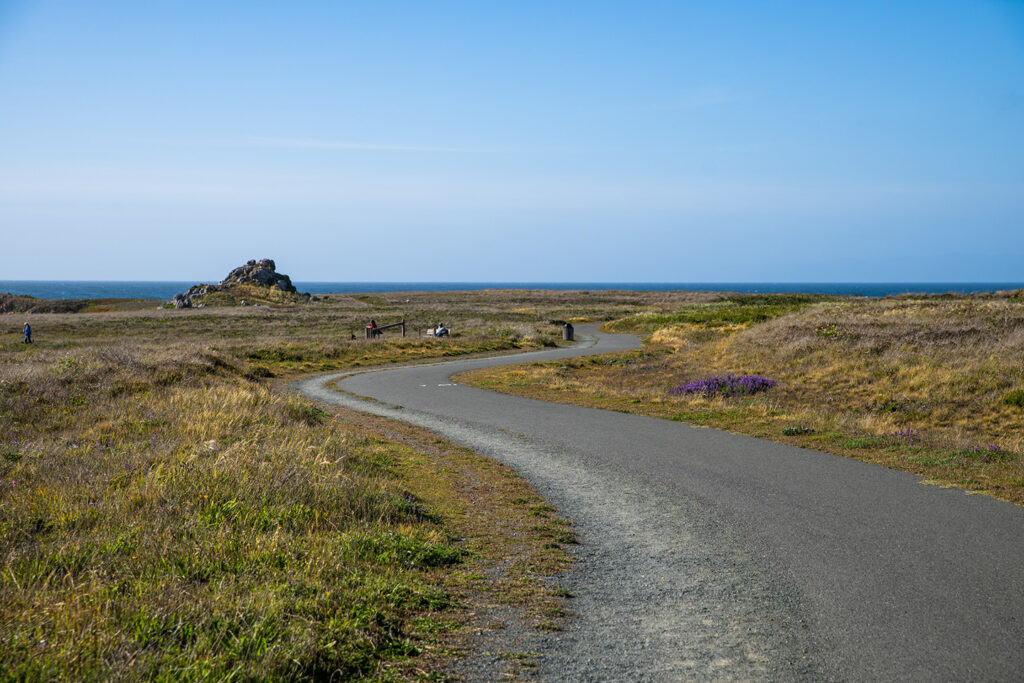Noyo Headlands Coastal Trail 