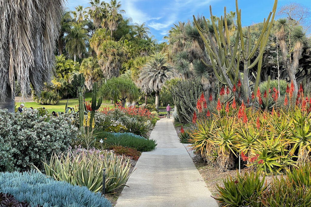 Desert Garden at The Huntington