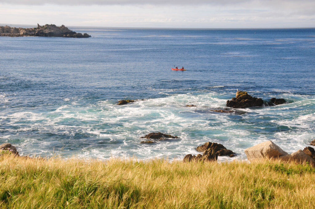 Kayaking along the shoreline in Pacific Grove