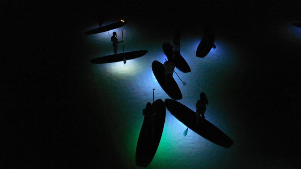 Glowing nighttime tour of Mission Bay in San Diego