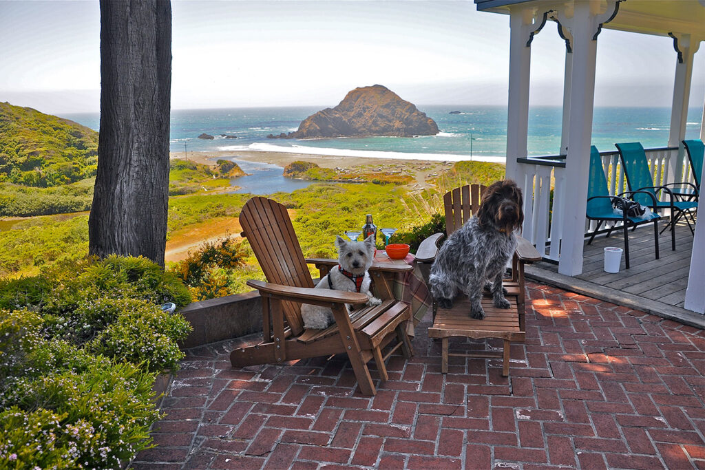 Pet friendly lodging with a view at Elk Cove Inn & Spa
