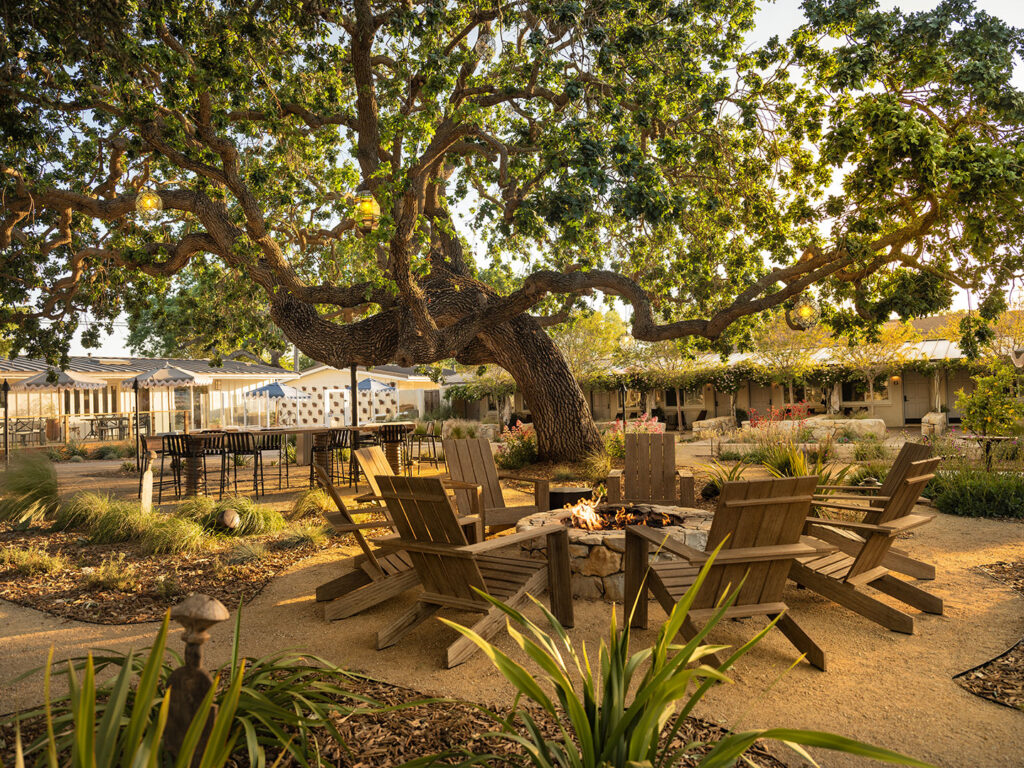 Garden courtyard at Hotel Ynez