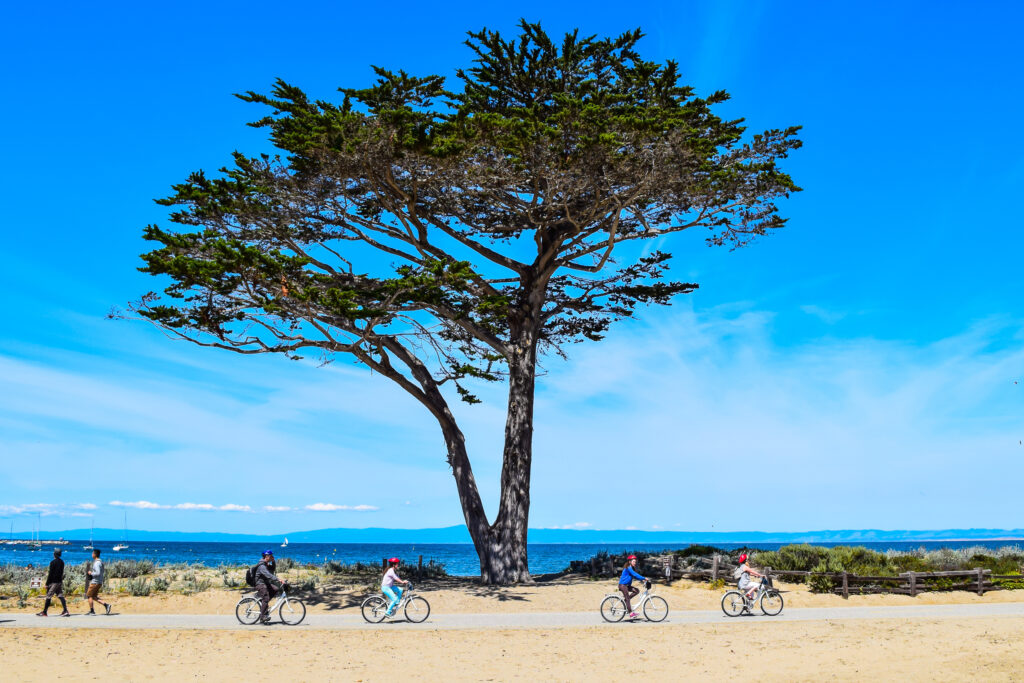 Cycling along the Monterey Bay Coastal Recreation Trail