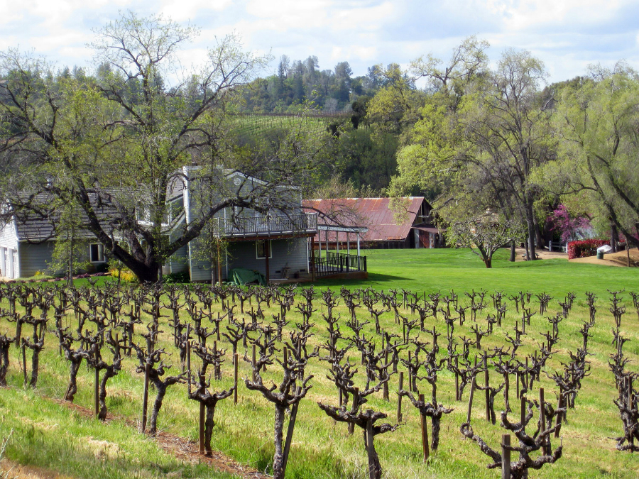 Deaver Vineyards and Amador Harvest Inn