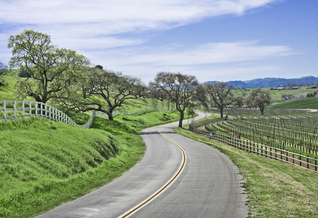 A winding road in the Santa Ynez Valley