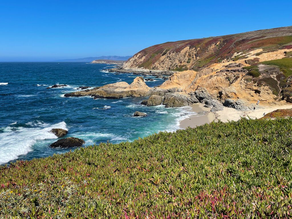 View from Bodega Head
