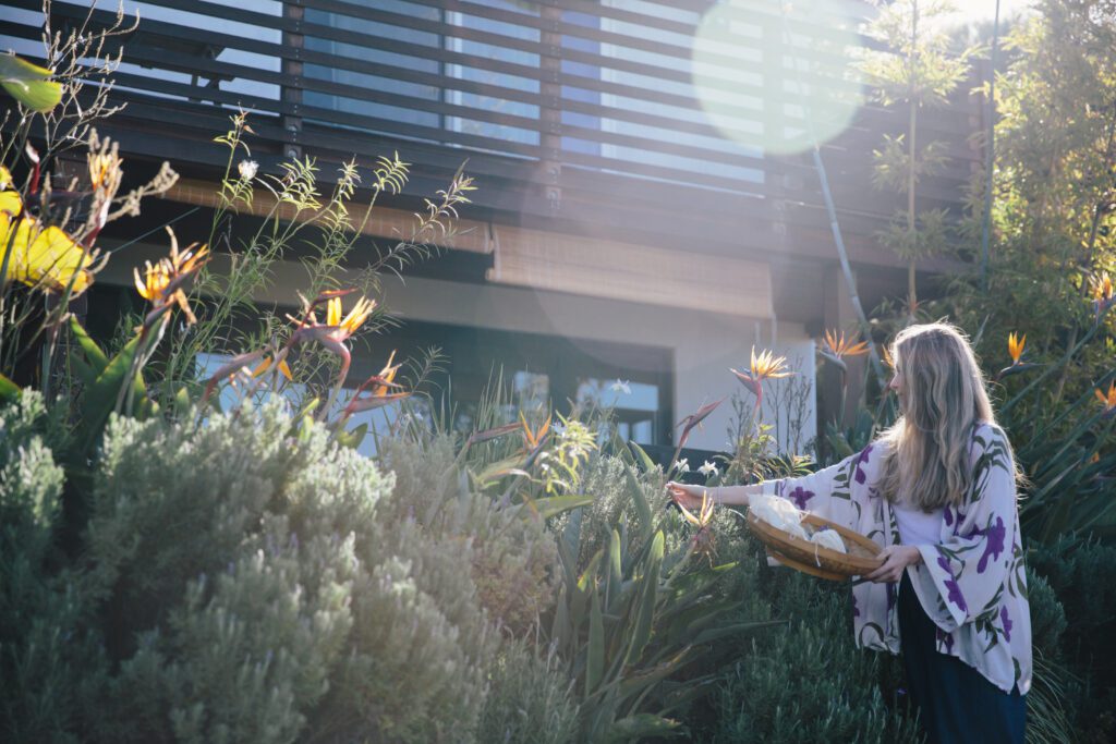 Gardens surrounding Inn at Moonlight Beach