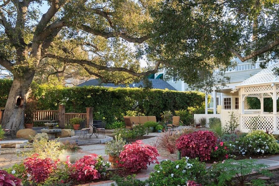 Gardens at the Cheshire Cat Inn