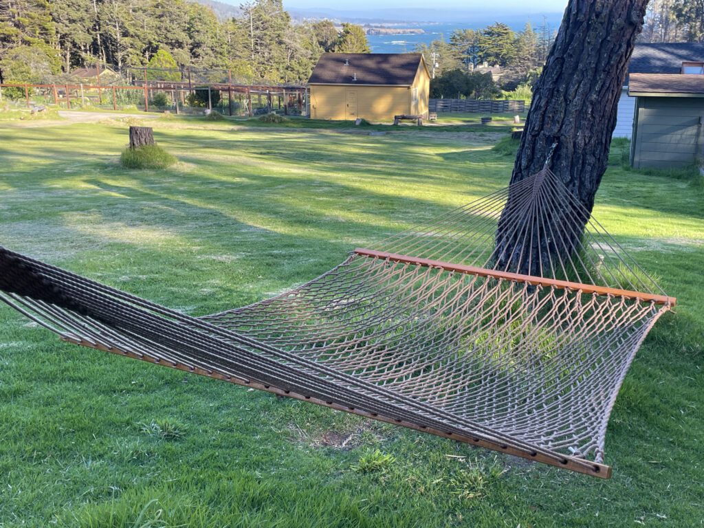 A hammock at Mar Vista Farm + Cottages
