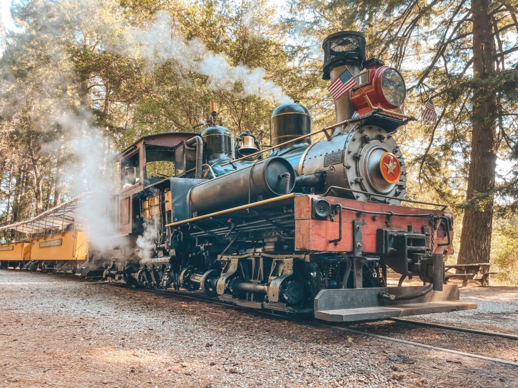 Steam train at Roaring Camp Railroads 