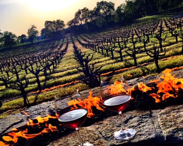 Grand Reserve Inn's fire pit overlooking the vineyards