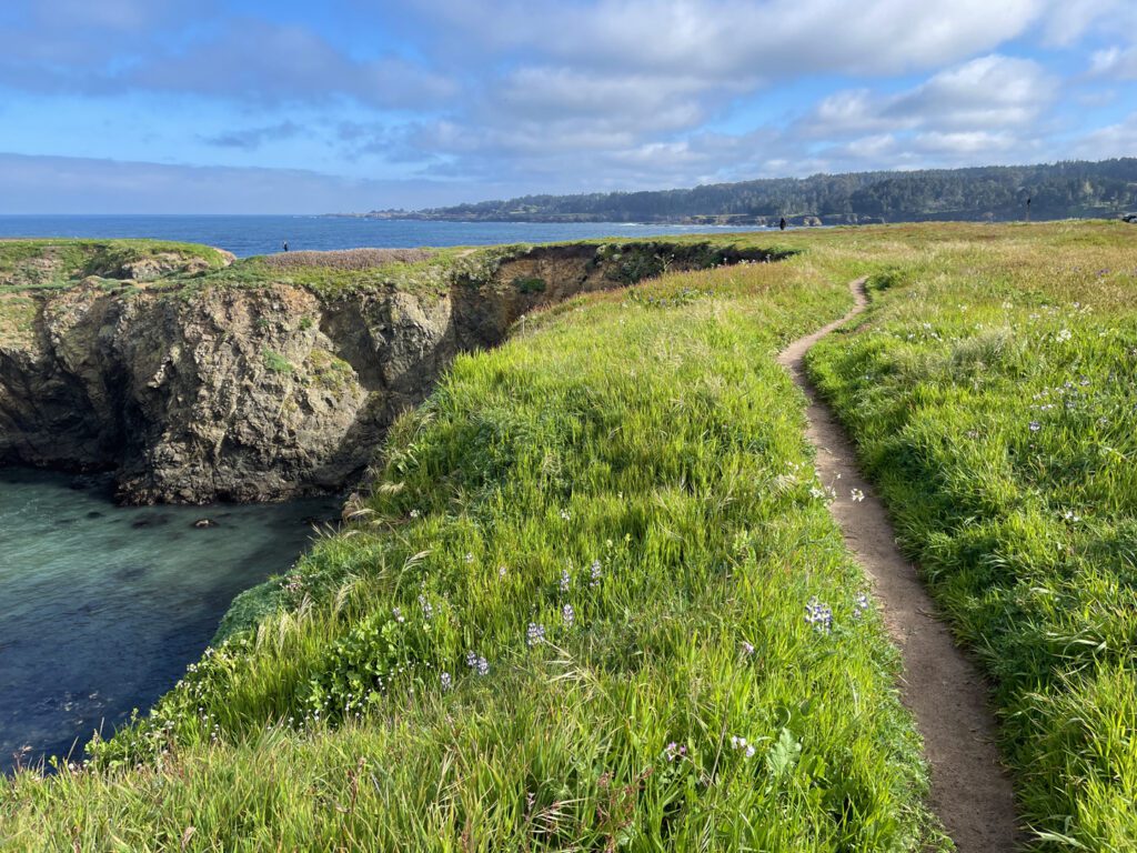 Path along the cliffs at Mendocino Headlands State Park
