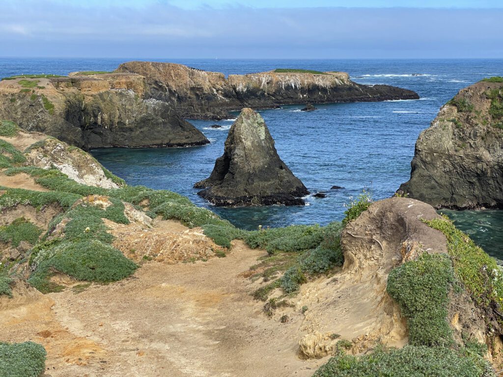 View of a sea stack at Mendocino Headlands State Park