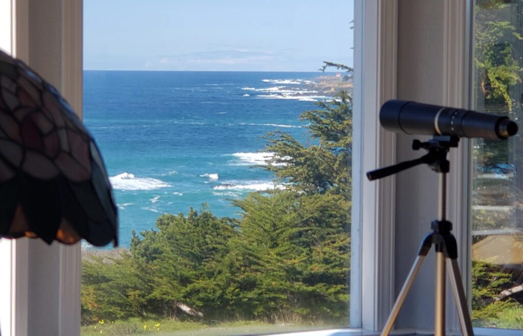 View from the dining nook of the Penthouse Suite at Mendocino Seaside Cottage