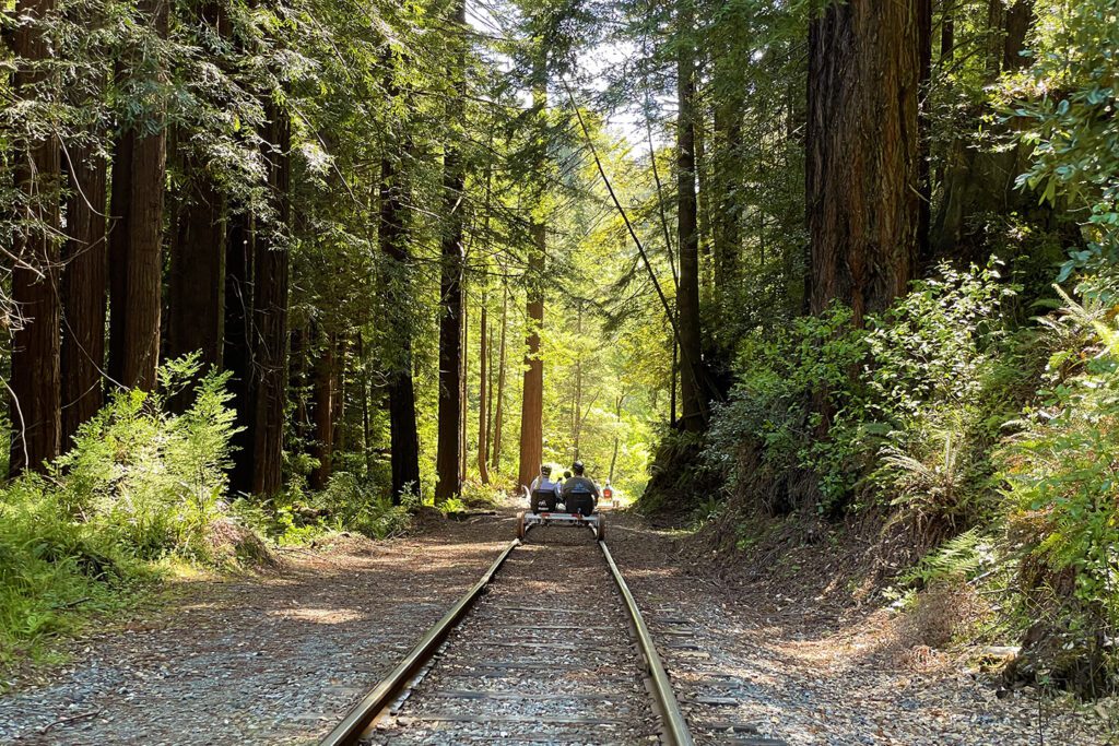 Pedaling rail bikes through the redwoods
