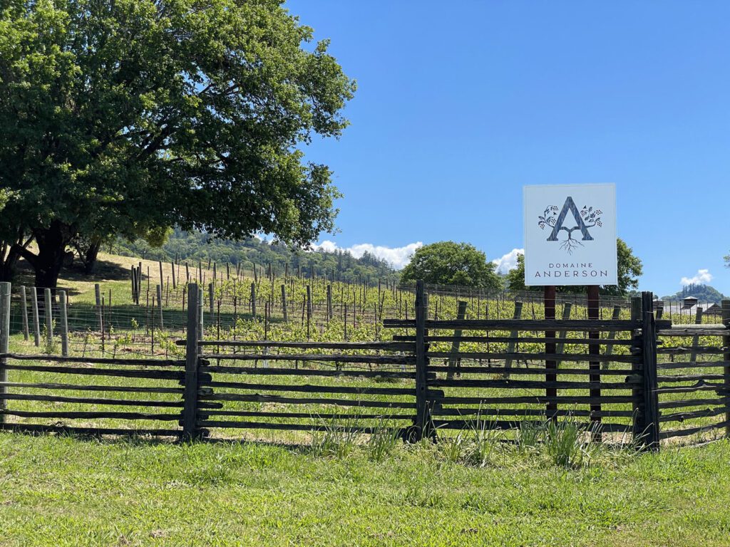 The vineyards at Domaine Anderson