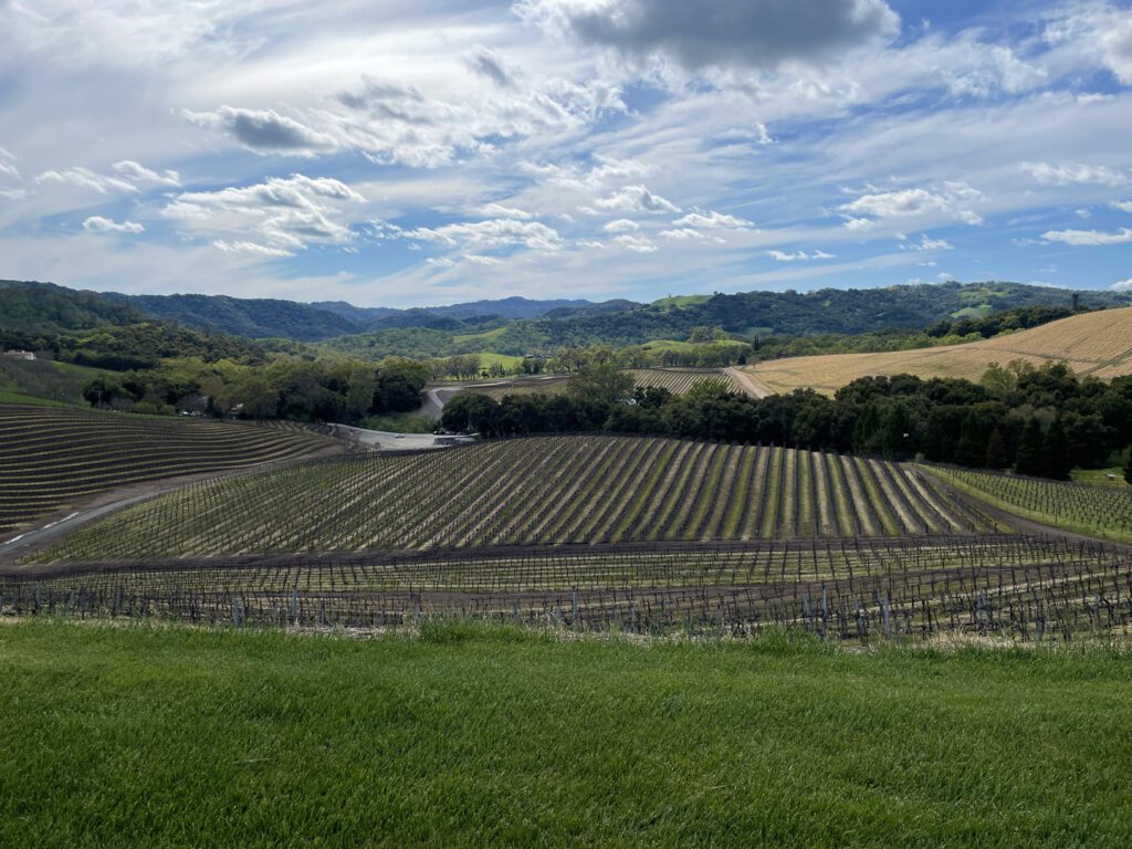 Views of vineyards and rolling hills from a grassy lawn.
