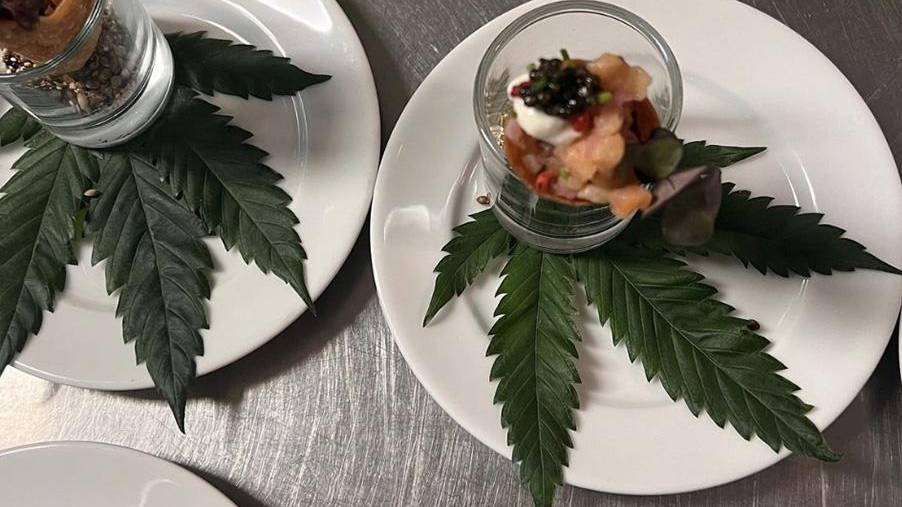 cannabis leaves odecrating plates of cannabis-infused hors d'oeuvres