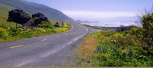 Road to the Lost Coast