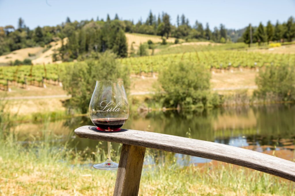 a glass of red wine resting on the arm of an Adirondack chair with view of vineyards in the background