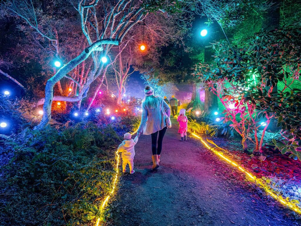 Festival of Lights at the Mendocino Coast Botanical Gardens