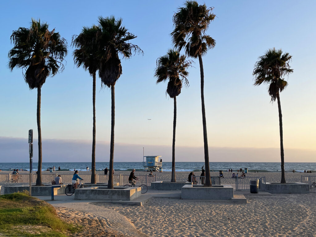 Bike path and palms along Venice Beach