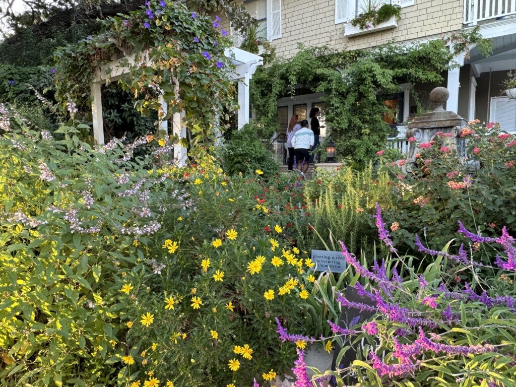 Spring blooms at the Lavender Inn